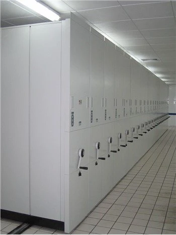 Mobile Storage Shelves